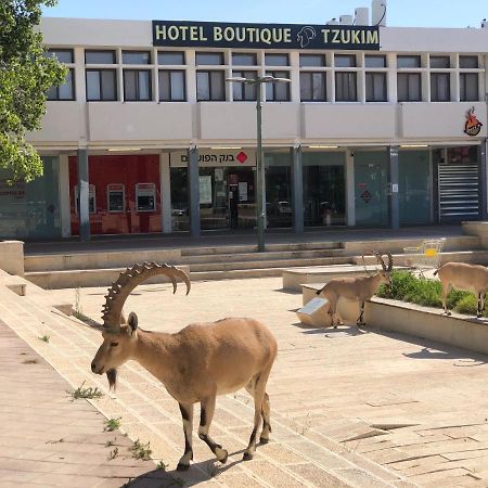 Tzukim Desert Traveler'S Hotel - מלון צוקים Mitzpe Ramon Exteriör bild